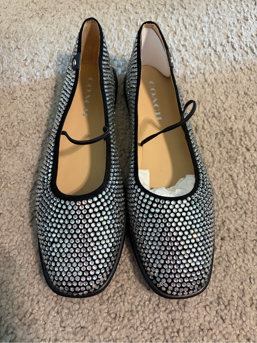 COACH Emilia Crystal Nary Jane Flats (Women’s)